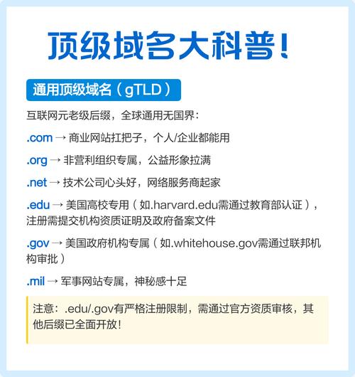 “超级蜘蛛池域名是什么”引热议：揭秘其运作机制与潜在风险