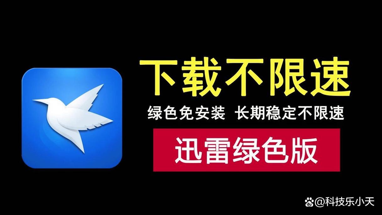 下载迅雷官方正版软件,高速下载与云播放体验