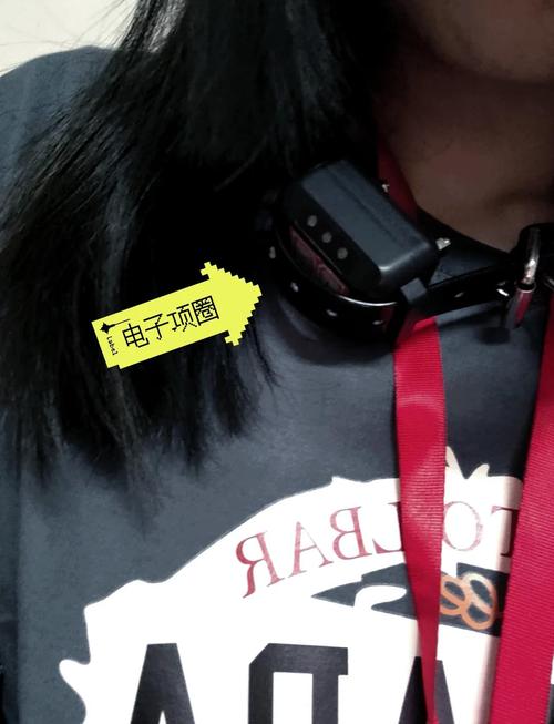 电锯惊魂6高清下载 恐怖悬疑惊悚片 在线观看