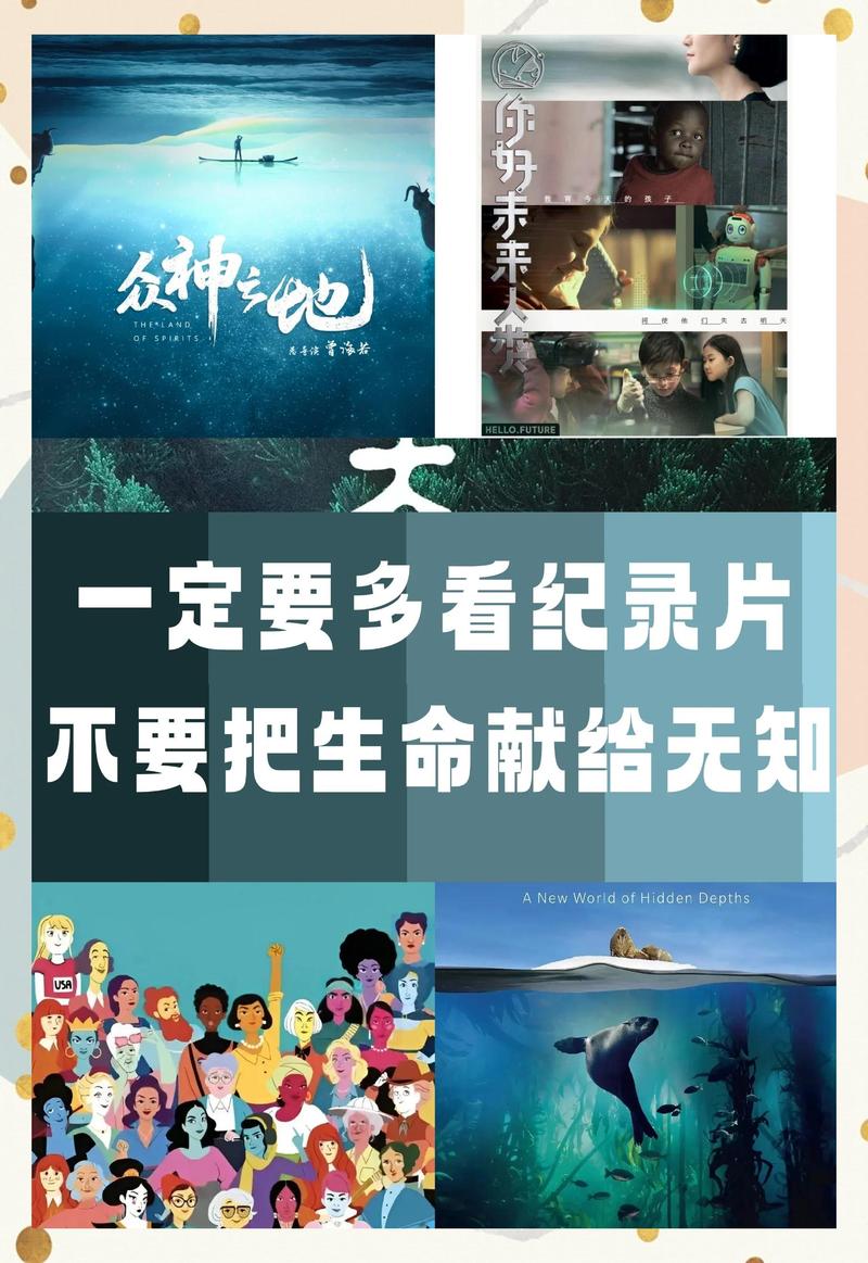 《2025最新纪录片合集下载，高清资源免费在线观看》