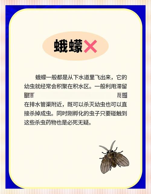 什么叫百度蜘蛛池？揭秘百度蜘蛛池的运作原理与作用