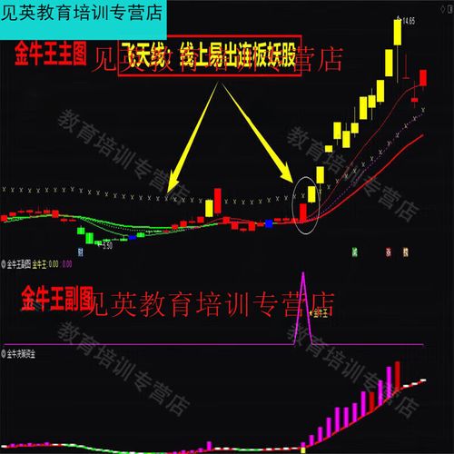 赢在龙头决策版下载-官方正版免费获取