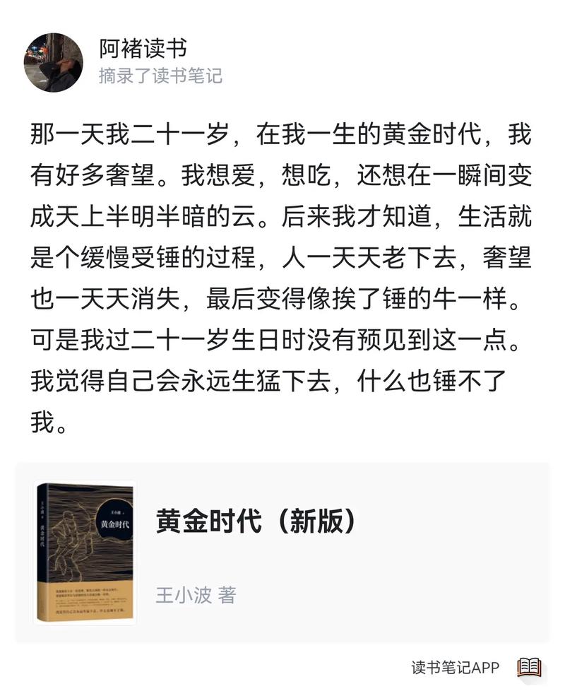 黄金时代txt下载|王小波经典小说全集电子书资源