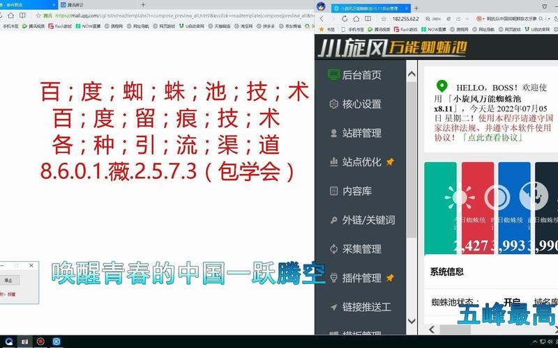 蜘蛛池有几种类型？常见分类及特点一文看懂
