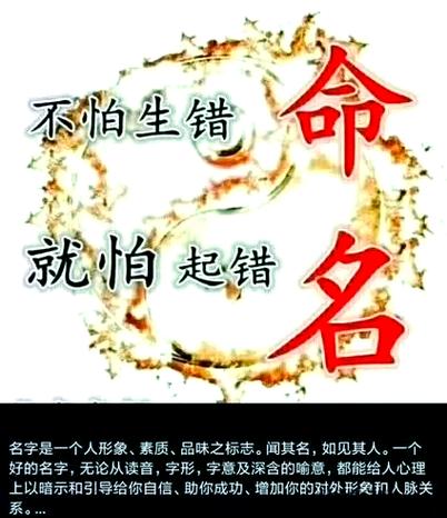 太阁立志传6下载 | PC/手机版免费安装包