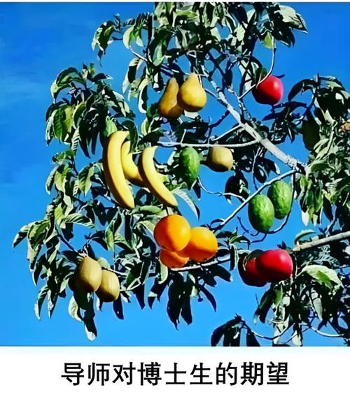 博士放弃科研梦:当热爱遭遇现实重压