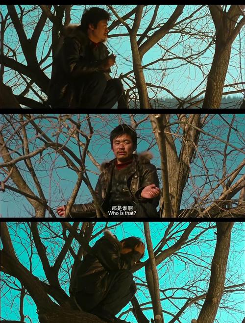 树先生下载 - 高清免费在线观看及资源获取