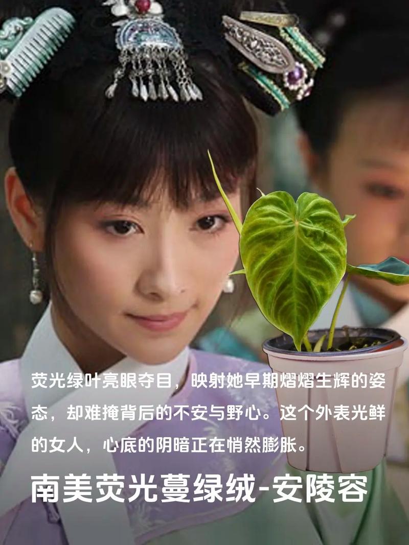 甄嬛传全集下载 | 高清资源在线观看