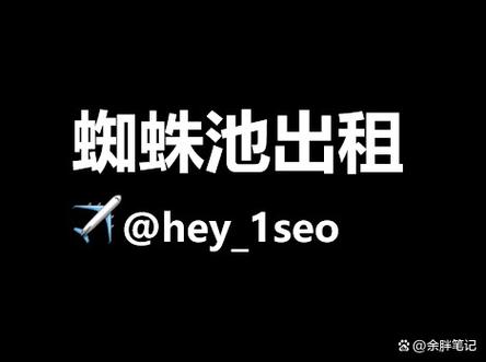 外推蜘蛛池推广工具：高效引蜘蛛助力网站快速收录排名