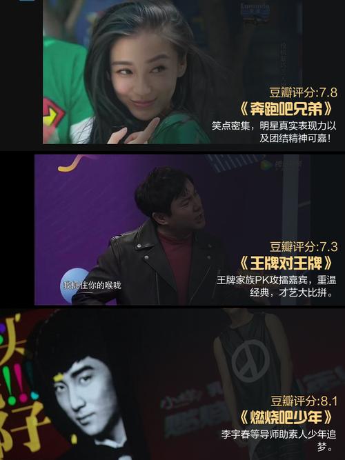 精选热门综艺节目高清下载合集,免费在线观看