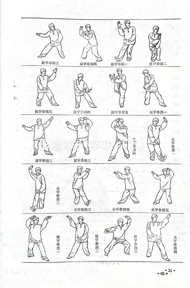 形意拳下载 | 经典武术教学视频资源合集
