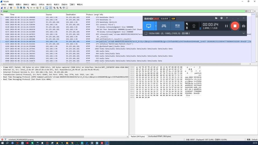 Wireshark下载与抓包实战：网络协议分析入门教程