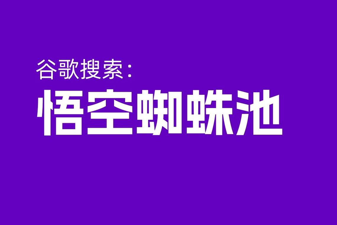 蜘蛛池搜狗:搜狗蜘蛛池快速收录与排名提升的实战新策略