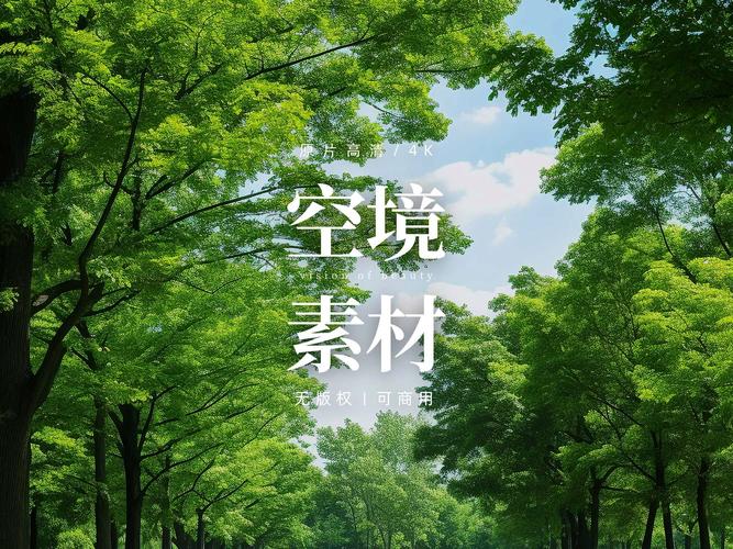 无水印视频素材下载 | 高清免费商用视频素材