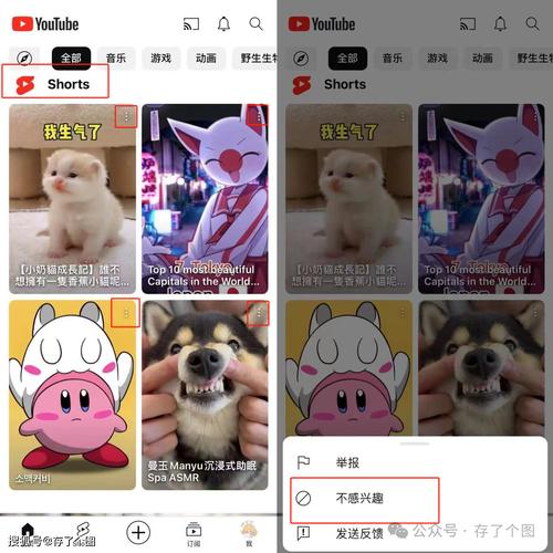 YouTube官网安卓版下载安装|官方正版APP免费获取