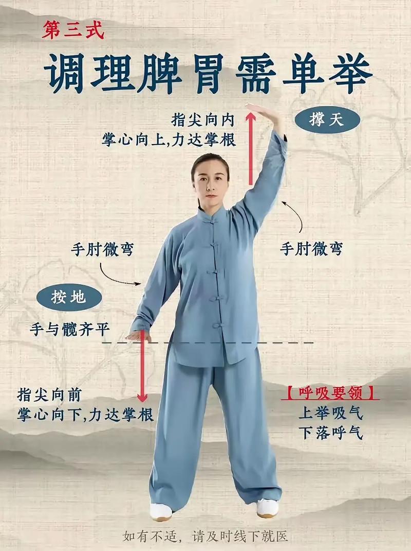 八段锦视频免费下载 | 高清完整版教学