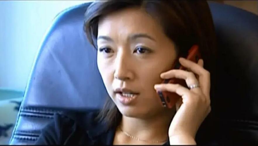 《征服》高清全集下载，刘华强经典警匪剧在线观看