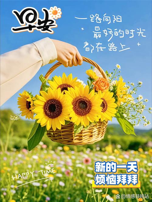 一天下载-高速安全资源合集，最新版本免费下载
