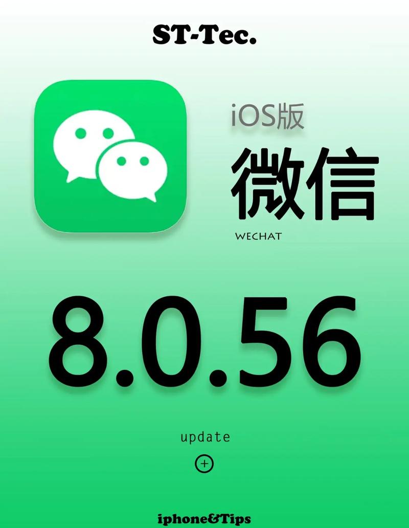 面纱下载的相关介绍