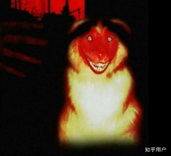 震惊!微笑狗照片背后暗藏恐怖真相,科学家揭密恐惧根源