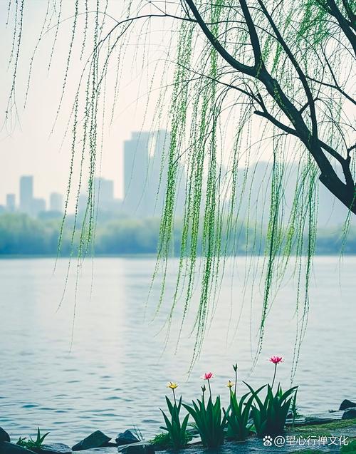 雨声下载 | 高清白噪音助眠音频免费下载