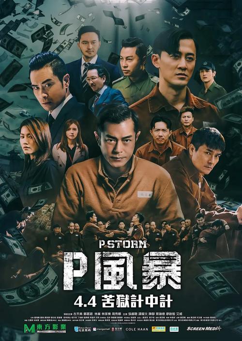 反贪风暴高清下载，全程高能反贪追捕行动！