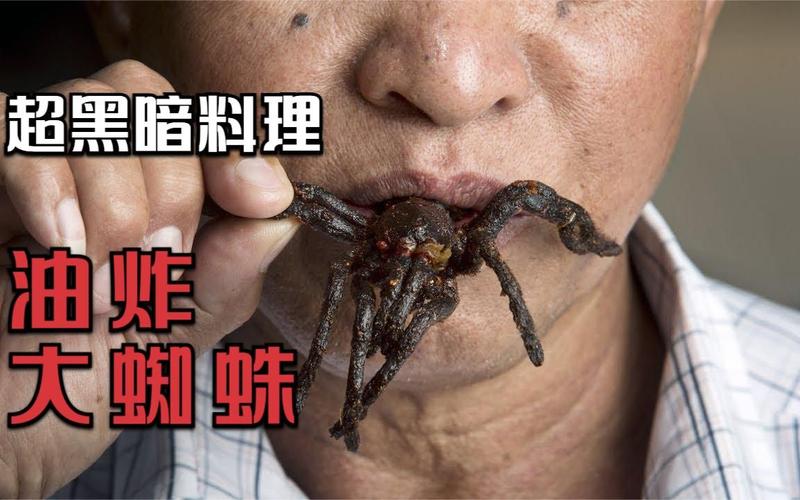 主播炸蜘蛛池视频引热议
