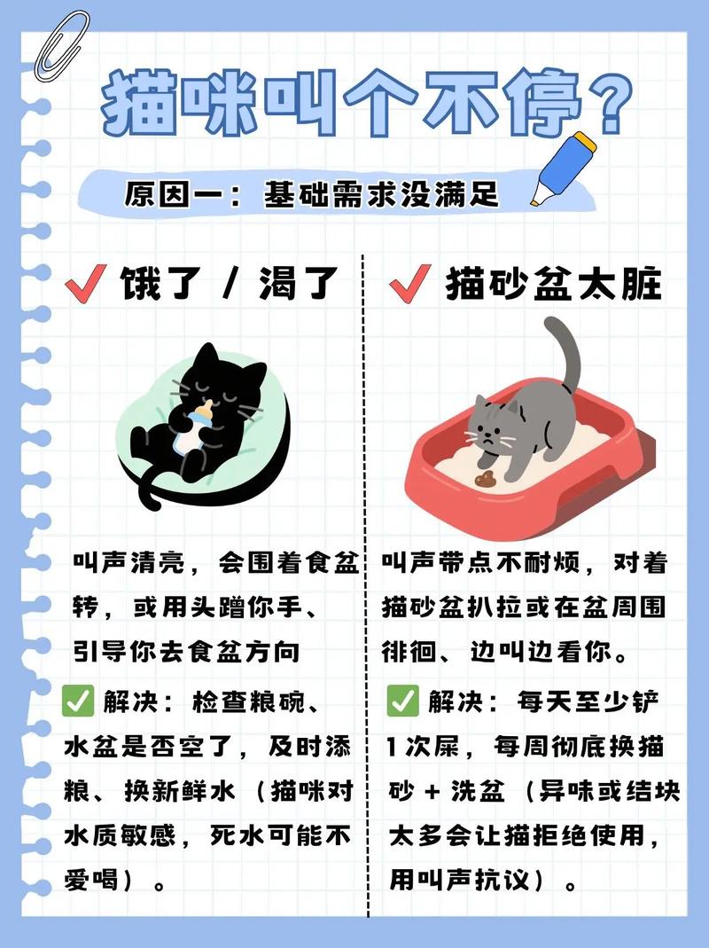 猫咪冷知识:唤猫不来竟因千年驯化史