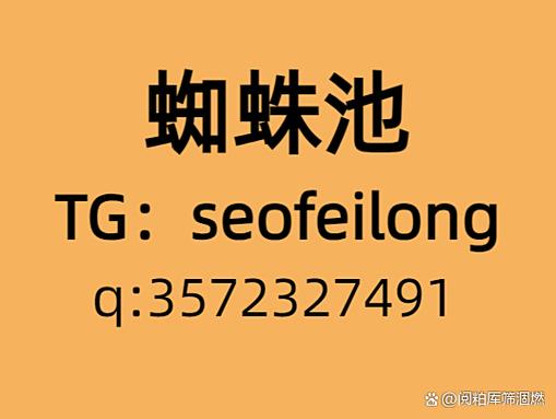 青海蜘蛛池租用包月服务上线 助力企业高效收录与排名提升