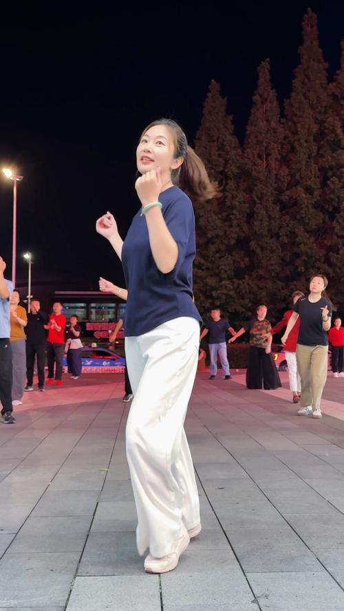 广场舞视频免费下载大全,热门舞曲高清资源一键获取