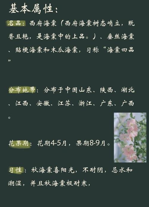 花香满园txt全文下载 | 经典小说电子书资源分享