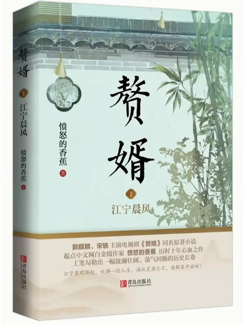 赘婿小说TXT全本下载 | 畅销网文完结版免费阅读