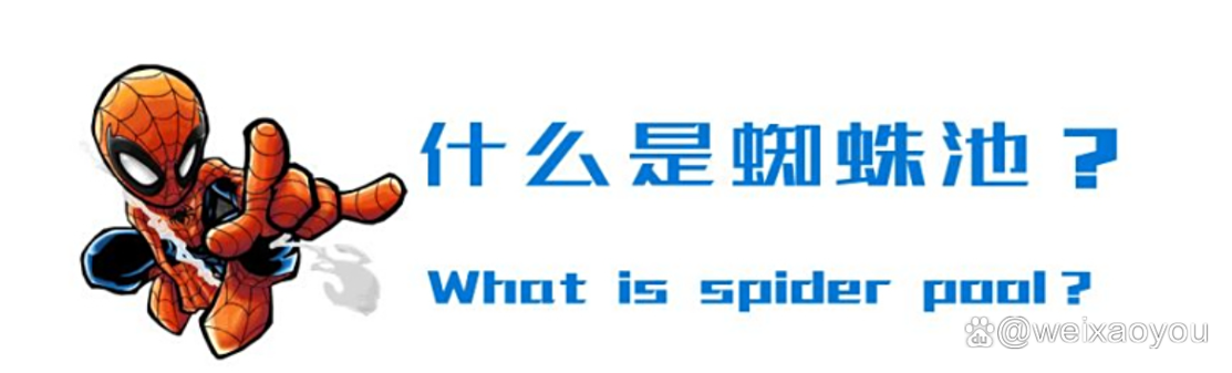 揭秘蜘蛛池：如何让搜索引擎“蜘蛛”疯狂爬取你的网站？