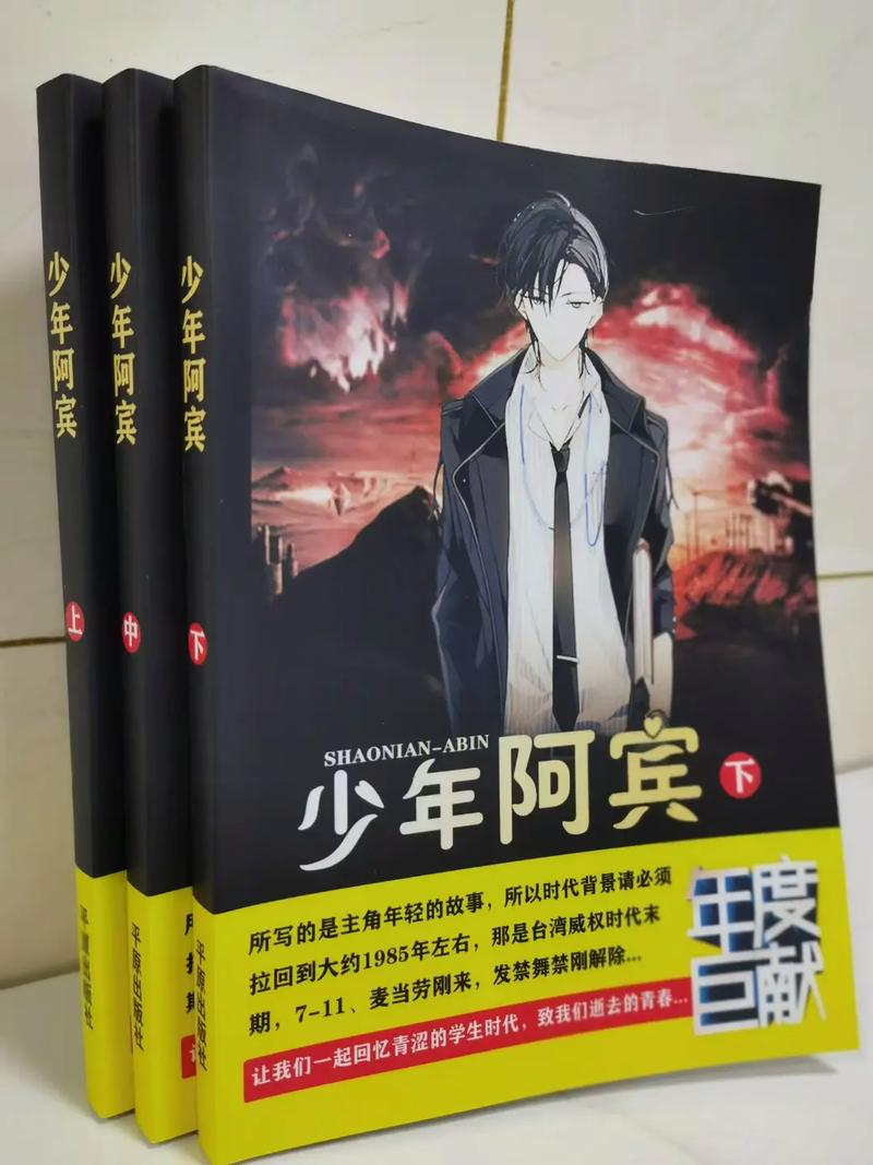 少年阿宾全集下载 | 高清无删减完整版在线观看