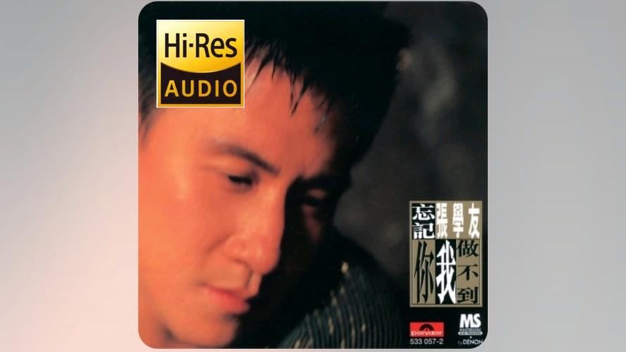 忘记你我做不到下载 - 张学友经典情歌无损MP3免费下载