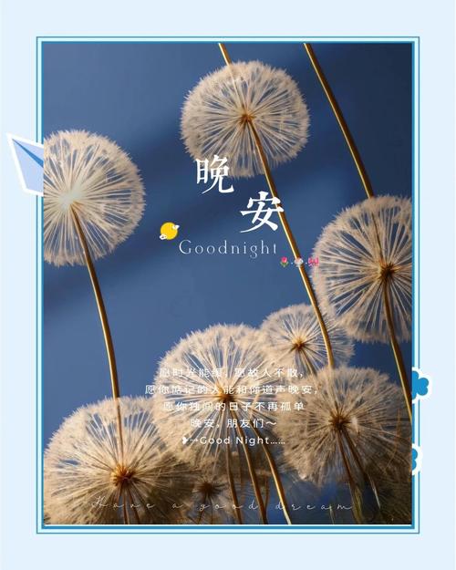 晚上必看！正能量治愈系短片精选合集下载，温暖你的心灵