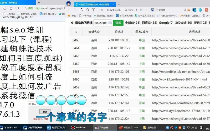 阿里蜘蛛池服务器：高效蜘蛛池搭建与SEO优化首选方案