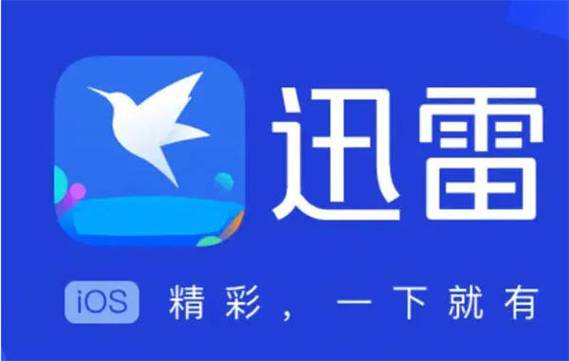 迅雷5经典版下载 官方稳定版 高速下载