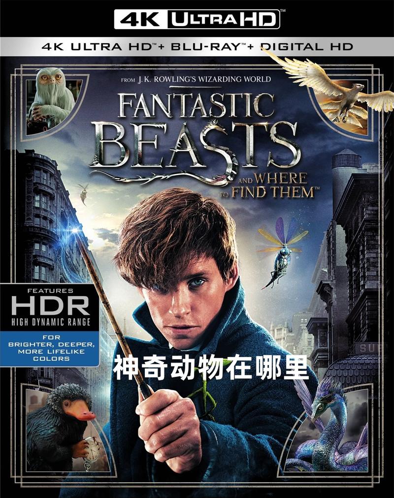 神奇动物在哪里下载 | 高清完整版在线观看