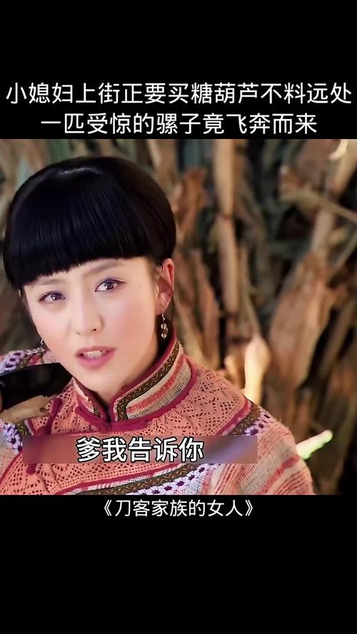 刀客家族的女人全集下载，经典年代大剧在线观看