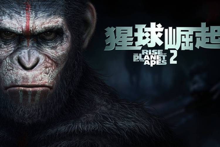 猩球崛起2高清下载 | 在线观看完整版