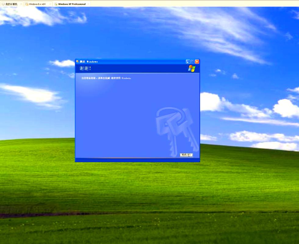WindowsXP操作系统下载 经典版原版镜像 一键安装