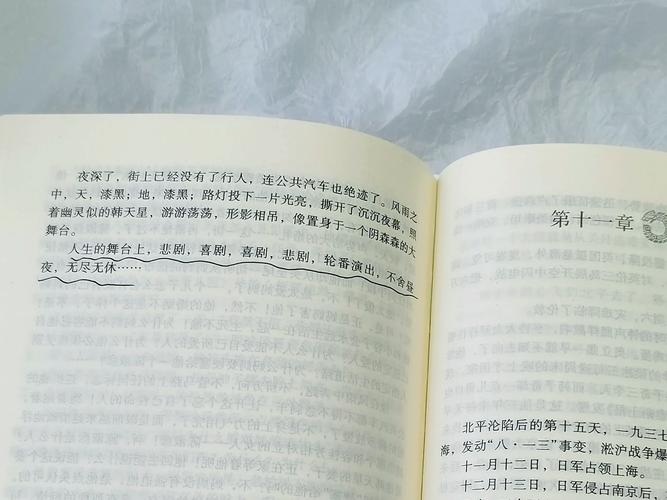 穆斯林的葬礼txt下载 | 经典茅盾文学奖作品