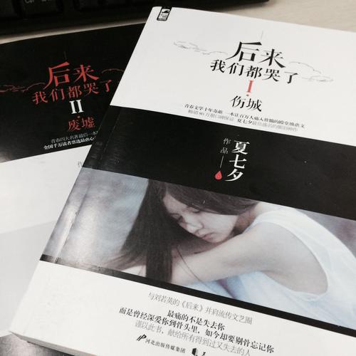 后来我们都哭了TXT全文下载｜青春疼痛小说经典