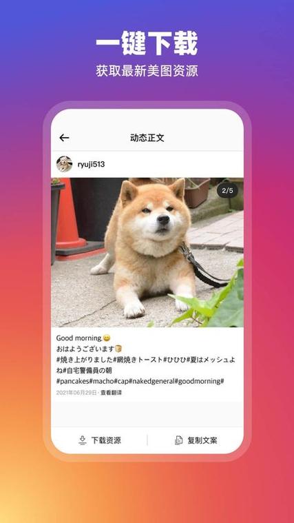 Instagram下载安卓版 - 最新官方版免费安装