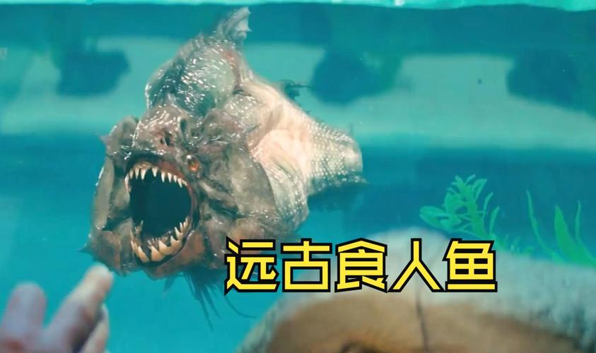食人鱼3DD高清下载 | 在线观看完整版