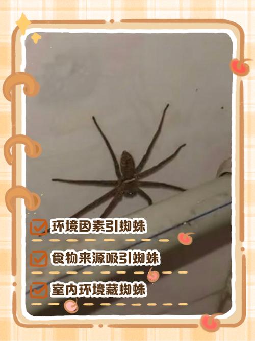 克隆侠蜘蛛池搭建教程：从零开始构建高效新闻聚合系统