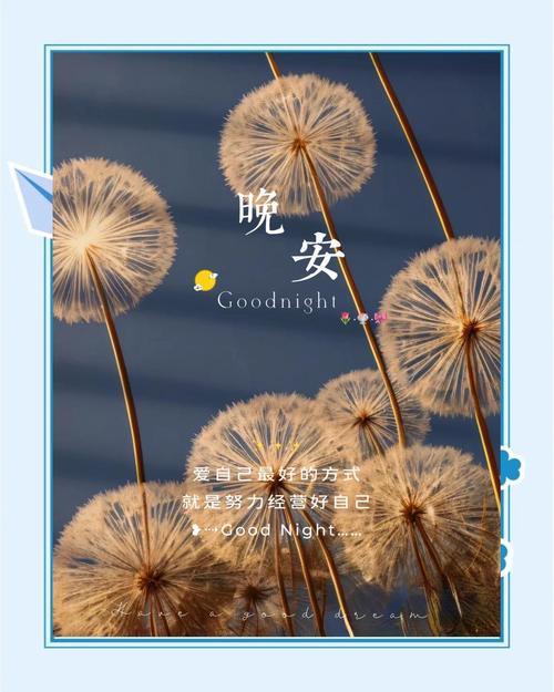 晚上必看的正能量视频下载，治愈心灵提升自我