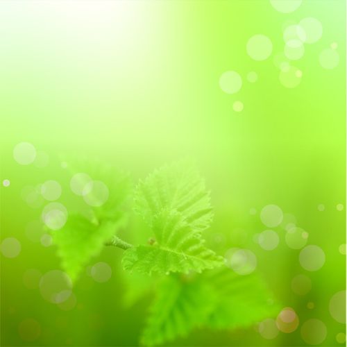 明星志愿2下载 | 经典养成游戏重温明星梦