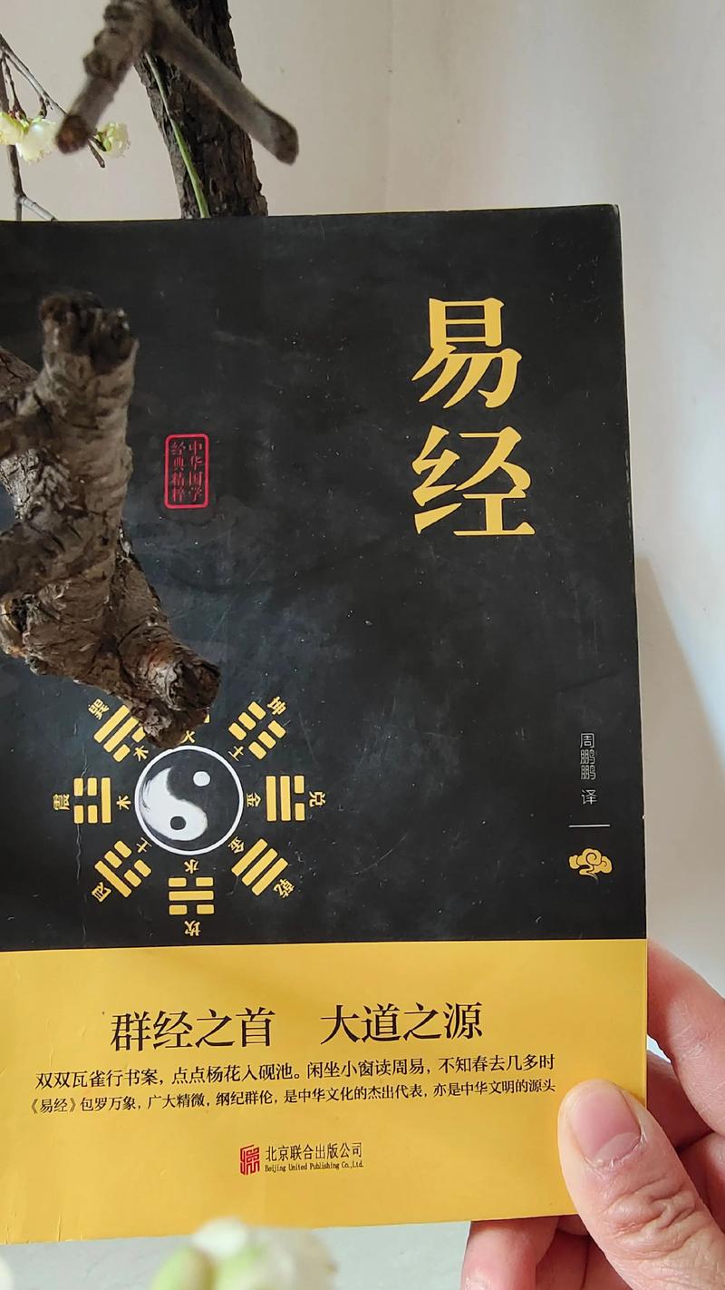 易经txt免费下载 | 完整版易经全文电子书资源